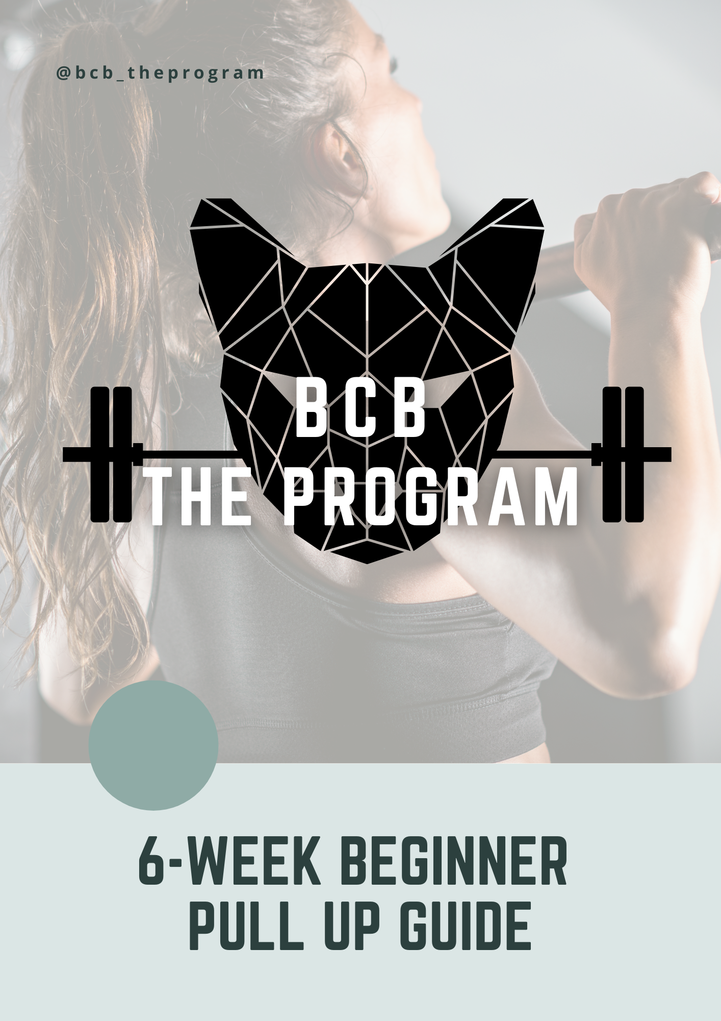 6 week Beginner Pull Up Guide