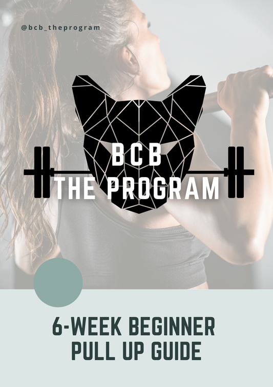 6 week Beginner Pull Up Guide